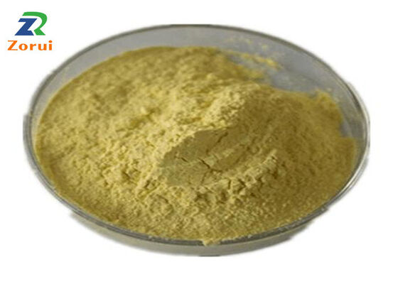 良い価格 クエルセチン CAS 117-39-5 Sophora Japonica エクストラクット 化粧品級 天然抗酸化剤 皮膚ケア用フラボノイド オンライン