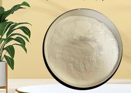 良い価格 GDL CAS 90-80-2 パン屋の乳製品のための食品等級の白い粉のグルコノ デルタ ラクトン オンライン