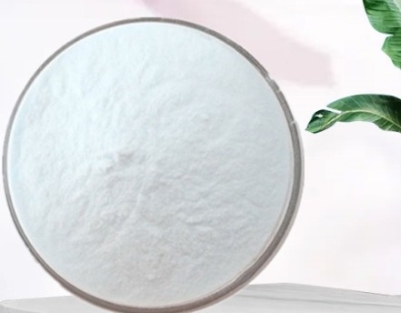 良い価格 CAS 506-87-6 アモニウム炭酸 (NH4) CO3 発酵剤 オンライン