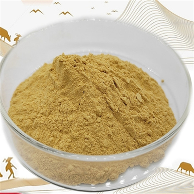 良い価格 CAS 90045-38-8 ジンセンエキストラクト 栄養補助食品 パナックス ジンセン根エキストラクト オンライン