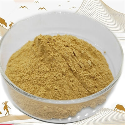 良い価格 CAS 90147-43-6/ 標準化粉末 栄養品質保証 オンライン