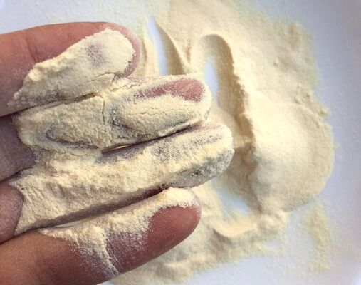 良い価格 CAS 9000-90-2 食品グレード アミラーゼ 澱粉酵素 ビール業界向け α-アミラーゼ オンライン