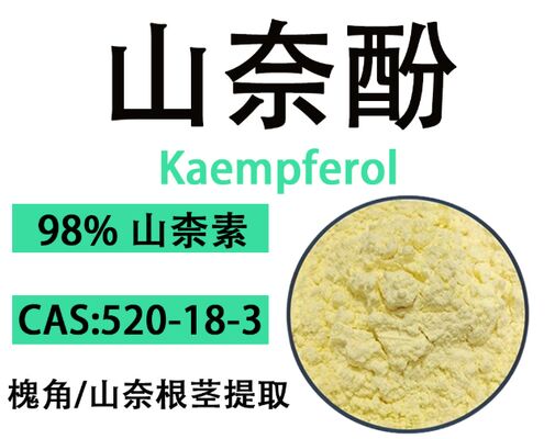良い価格 CAS 520-18-3 抗酸化および老化防止の処方 98% ケンフェロールの黄色の結晶性の粉 オンライン