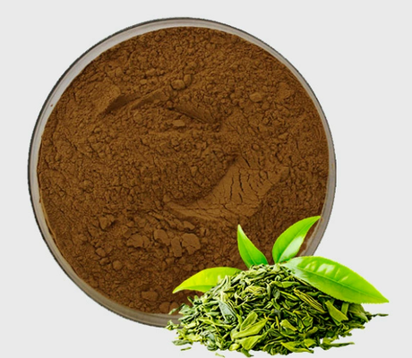 良い価格 天然緑茶抽出物 CAS 84650-60-2 茶ポリフェノール粉末 化粧品 オンライン